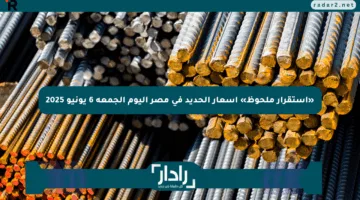«استقرار ملحوظ» أسعار الحديد في مصر اليوم الجمعة 6 يونيو 2025
